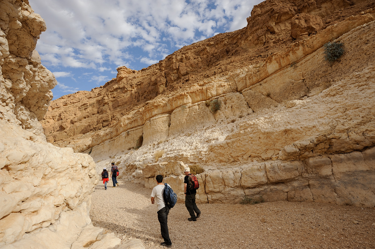 Parsat Nekarot trail, Makhtesh Ramon crater