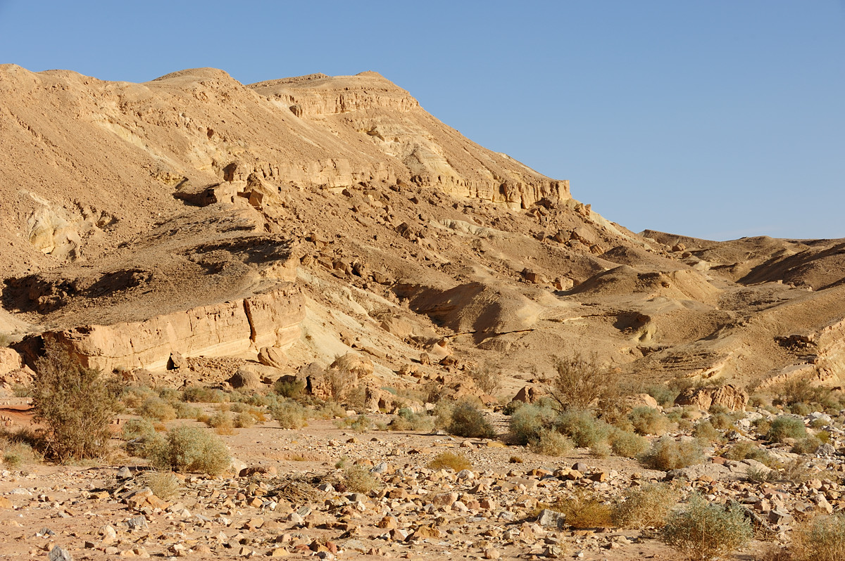 Nahal Ardon, Makhtesh Ramon