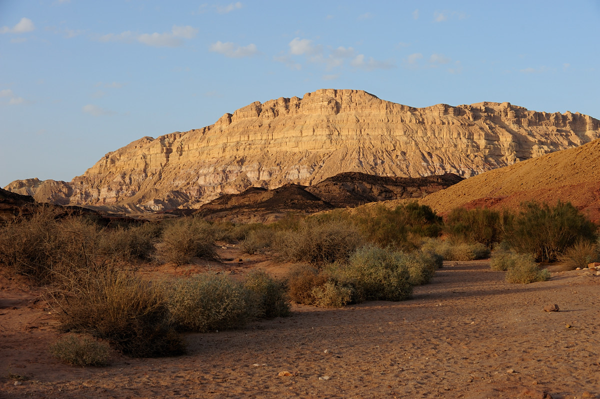 Mt. Ardon, Makhtesh Ramon