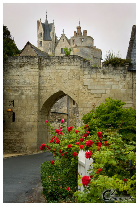 Chateau Montreuil-Bellay_D3B7710.jpg