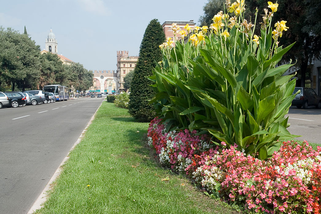 3169 - Verona - Corso Porta Nuova.jpg