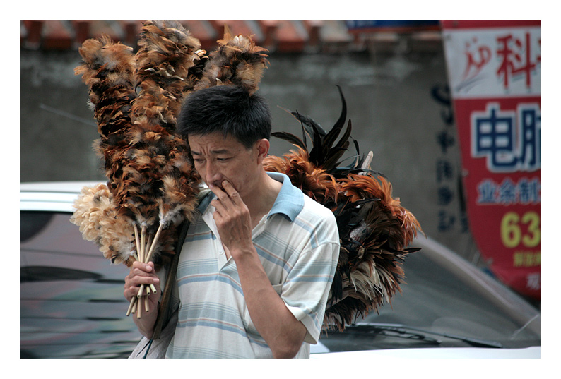 Walk With Feathers