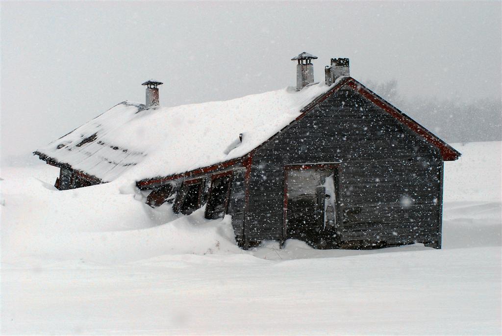 Glilles Tremblay picture