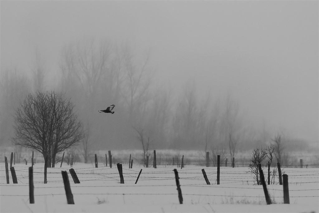 mascouche