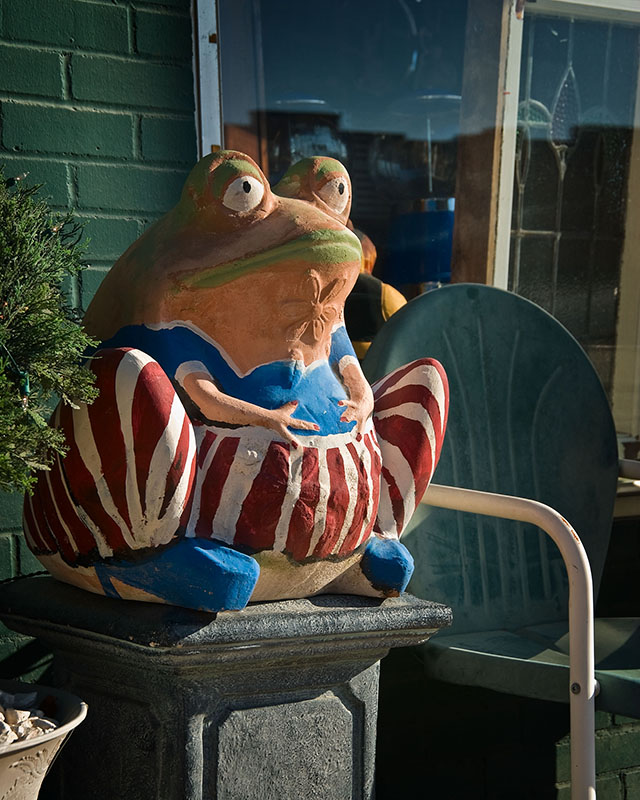 Red, white, & blue frog