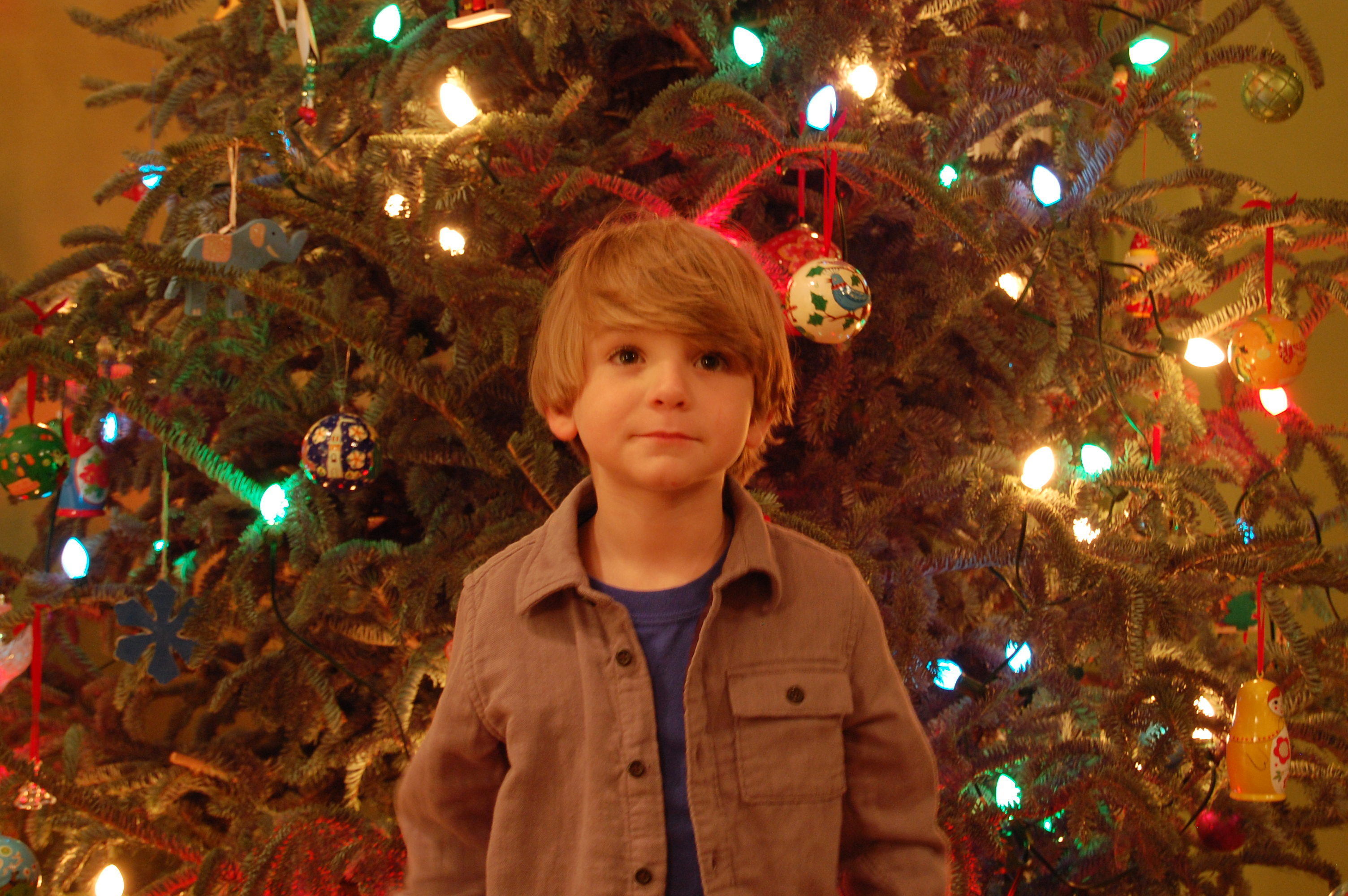 Evan Warm Tree