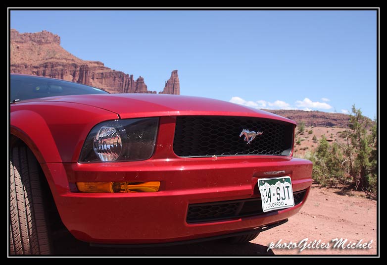 MUSTANG057.jpg