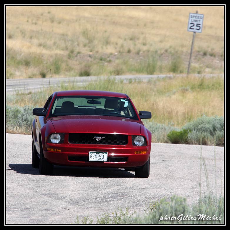 MUSTANG157.jpg