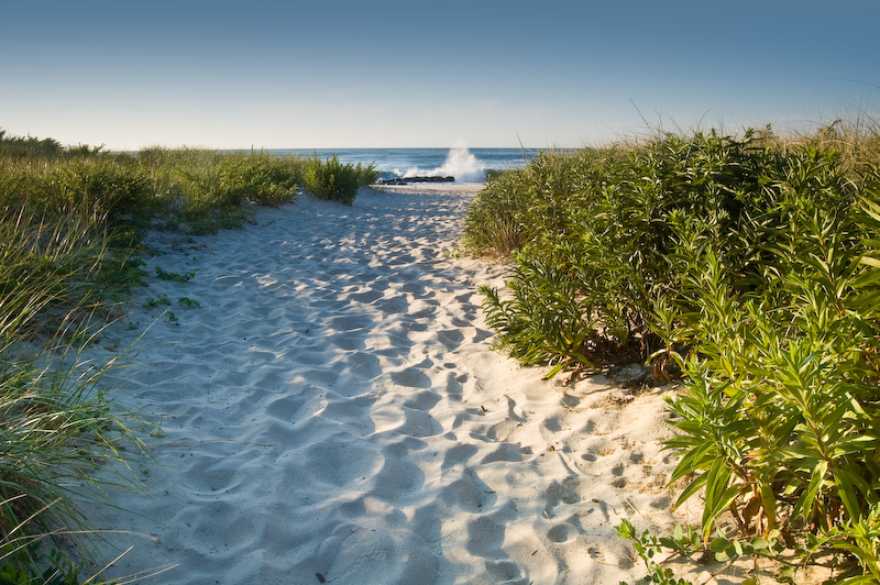 The Ocean Beckons