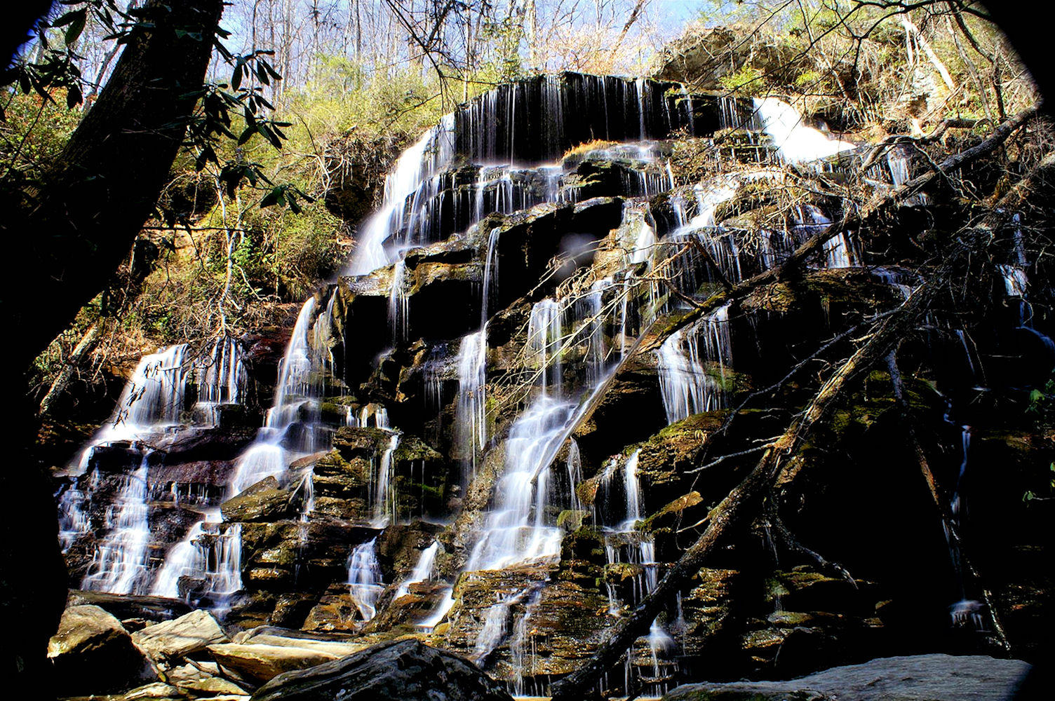 Yellow Branch Falls SC.