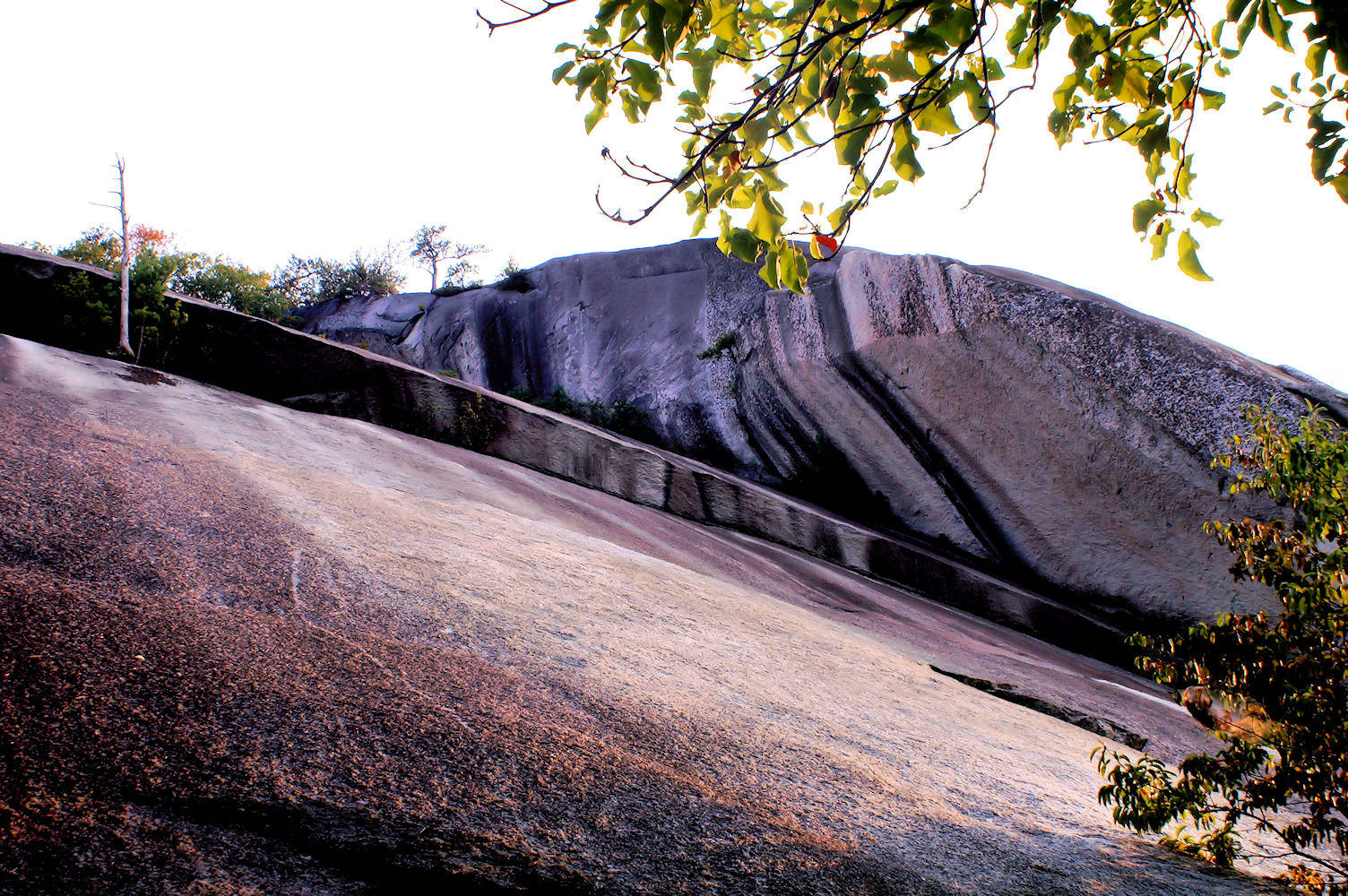 North side of Stone Mountain, no trails to is part of the Mt.