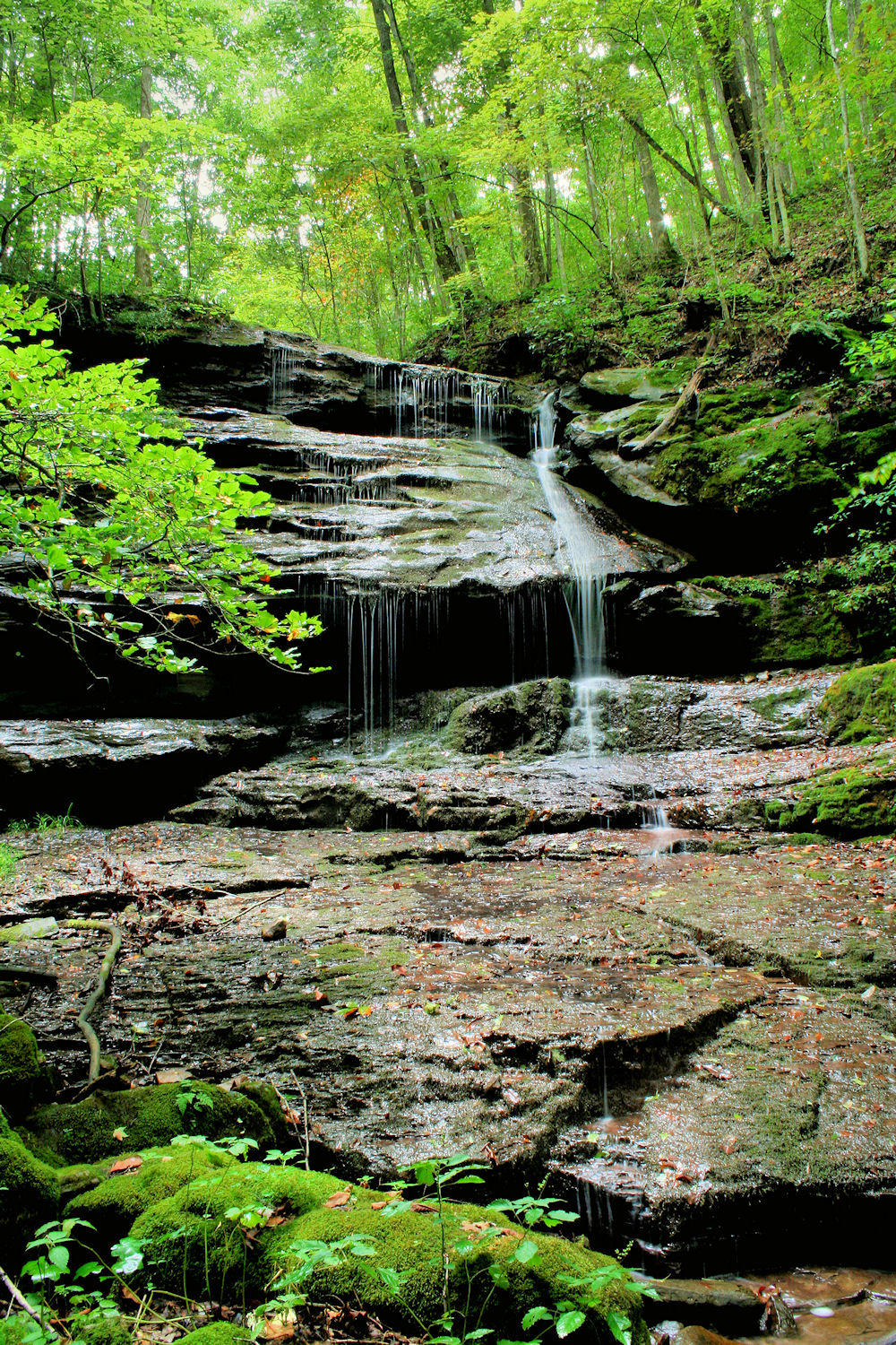 Rest of the Pictures of Falls on Big Branch About 20 to 25 Ft. WV.