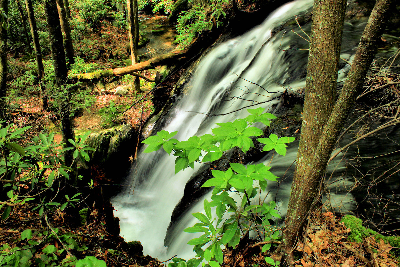 Waterfalls I want to Saturday, About 2 1/2 to 3 miles one way