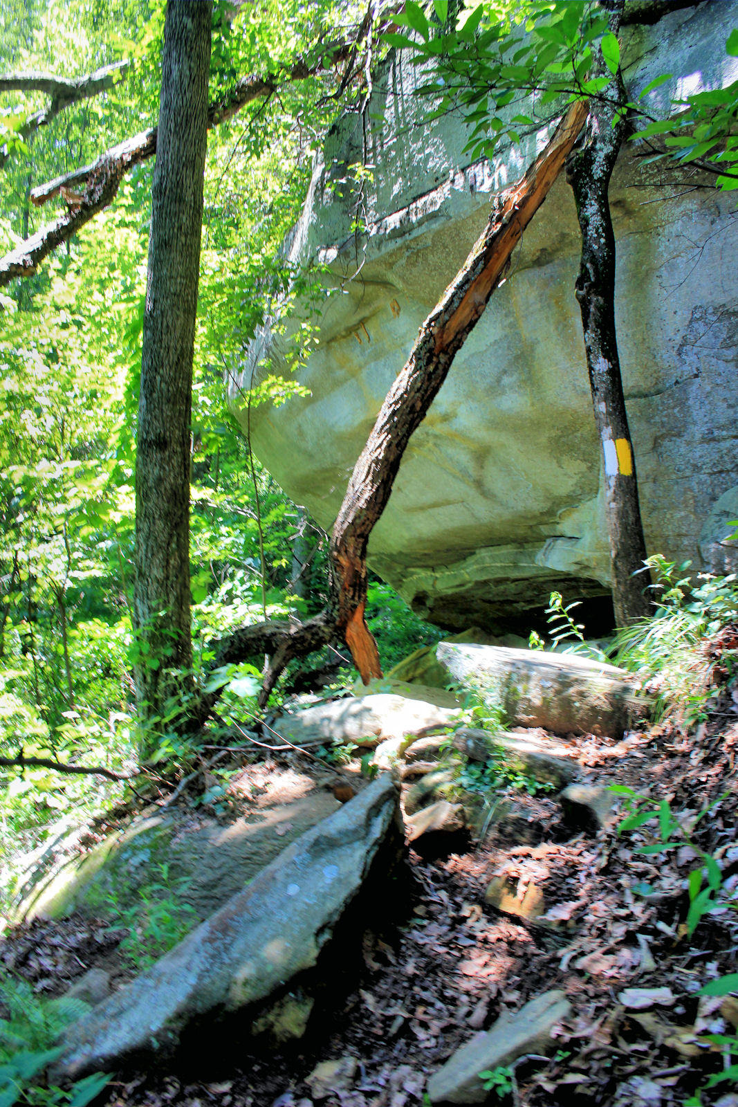 Last cliffs to get around to get to the side Trail to Mill Creek Falls