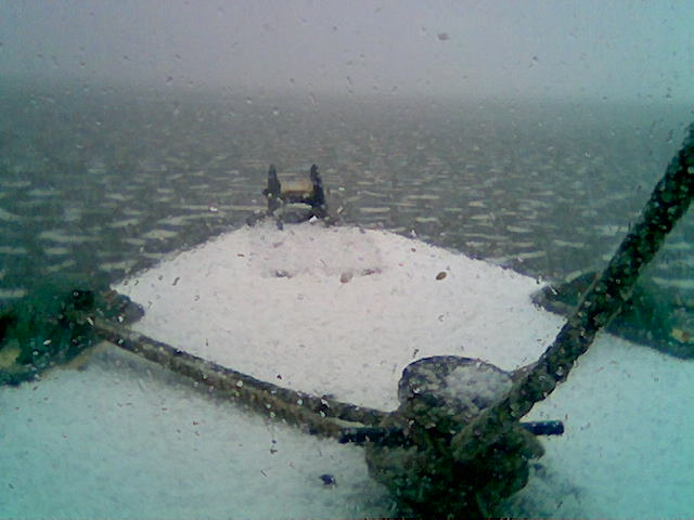 Image006.jpg