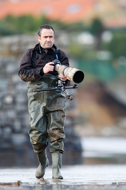 After the calidris alba II