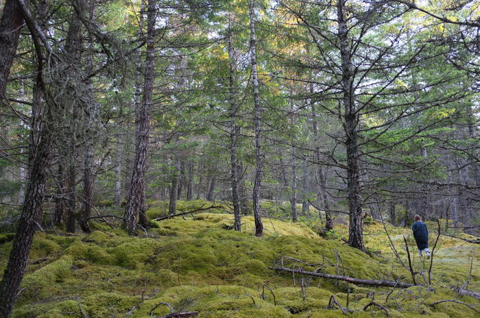 DSCF1377_resize.JPG