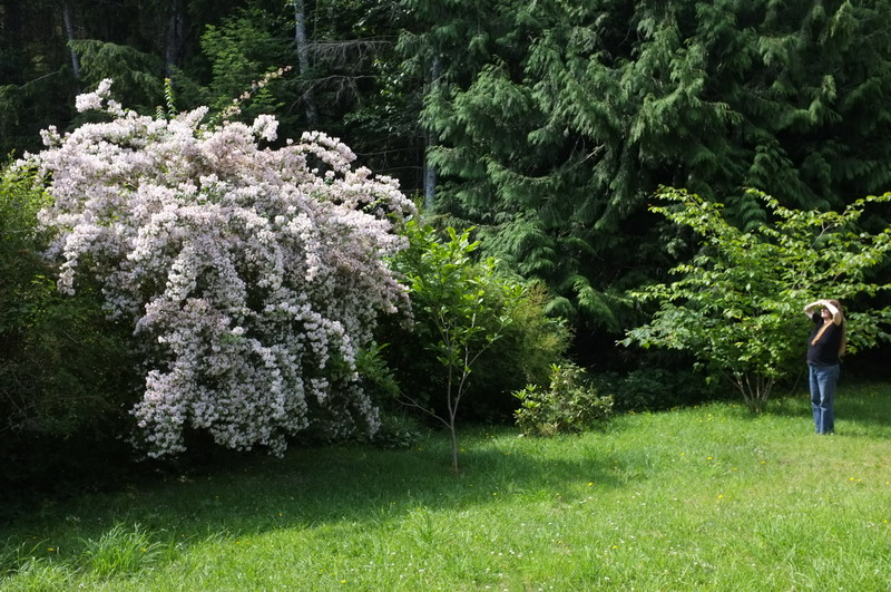 DSCF3530.JPG