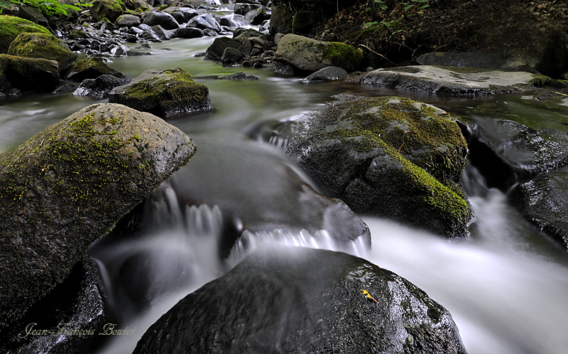 Rivire Des Roches 14 juillet 2012