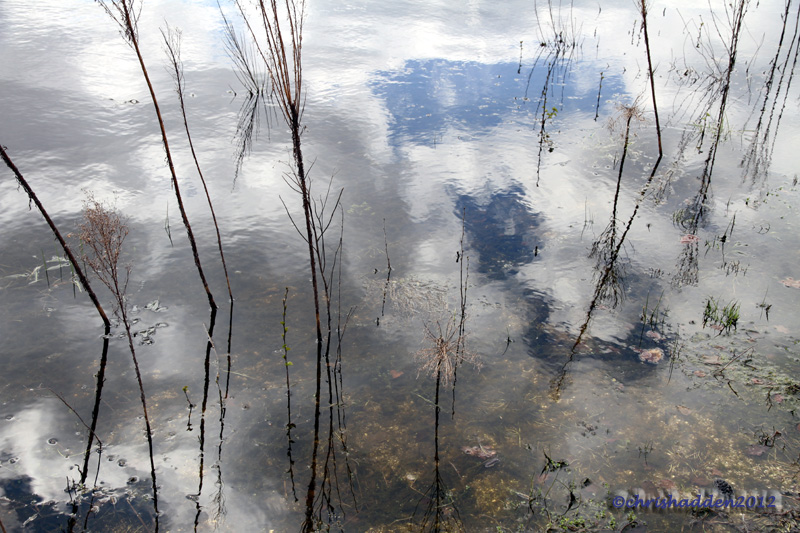 WIC #104 - Reflections