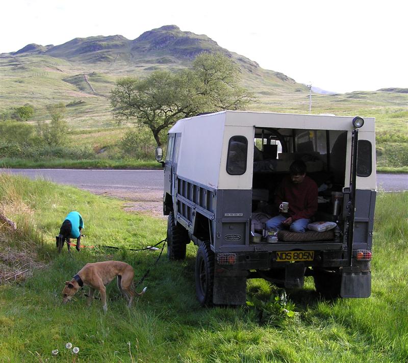 101 with new sleeping platform and dogs