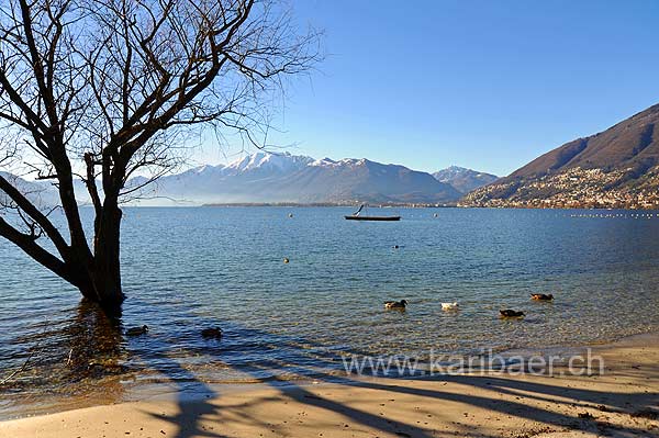 Lago Maggiore (108765)