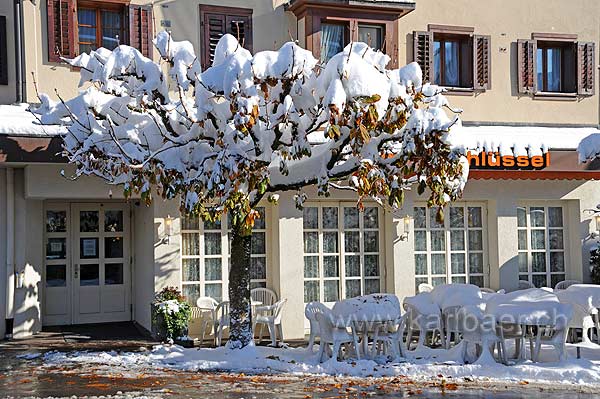 Dorf (127625)