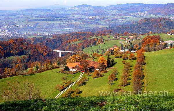 Blick vom Gubel (9170)