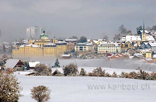 Ueber dem Nebel (8844)