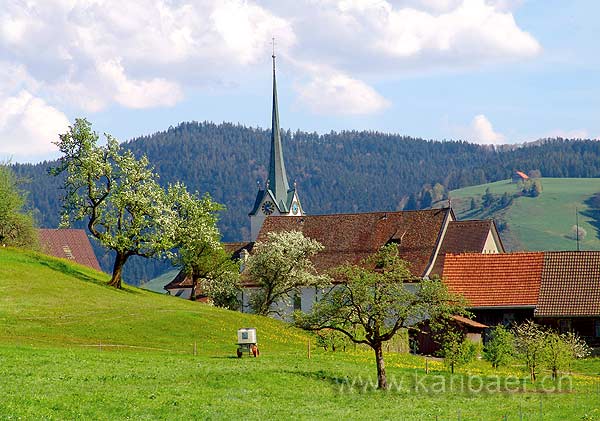 Neuhus (06965)