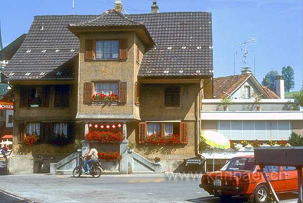 Ochsen 1983