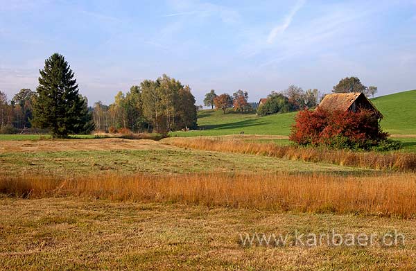 Moorlandschaft (6881)