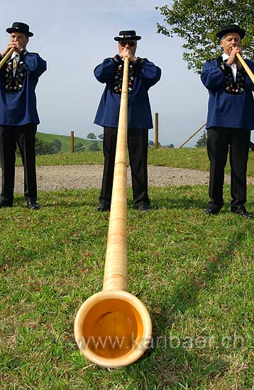 Alphorn (7104)