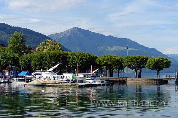 Zugersee (75405)