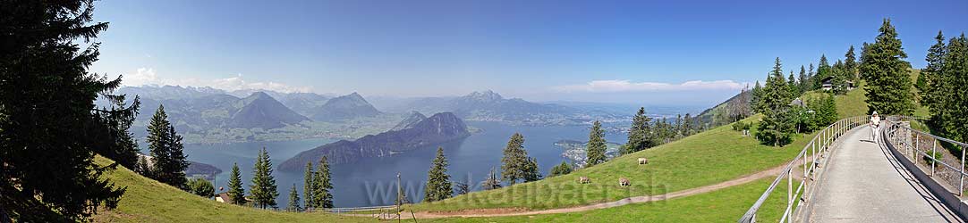 Rigi Panorama (p77104)