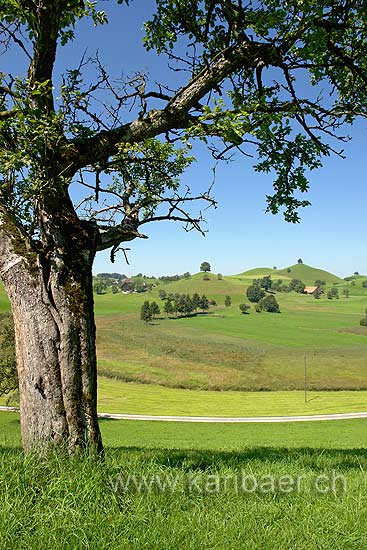 Moraenenlandschaft (77775)