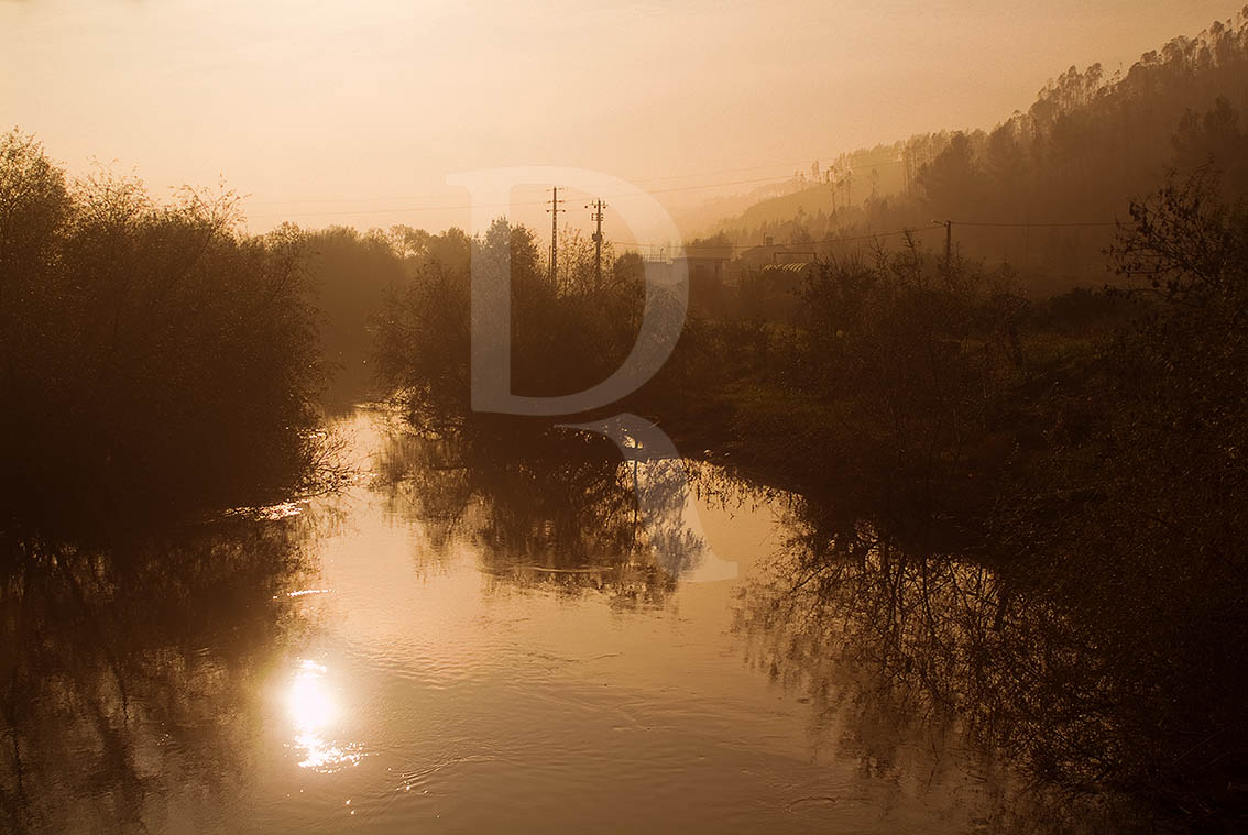 O Rio Alviela em Vale de Figueira 