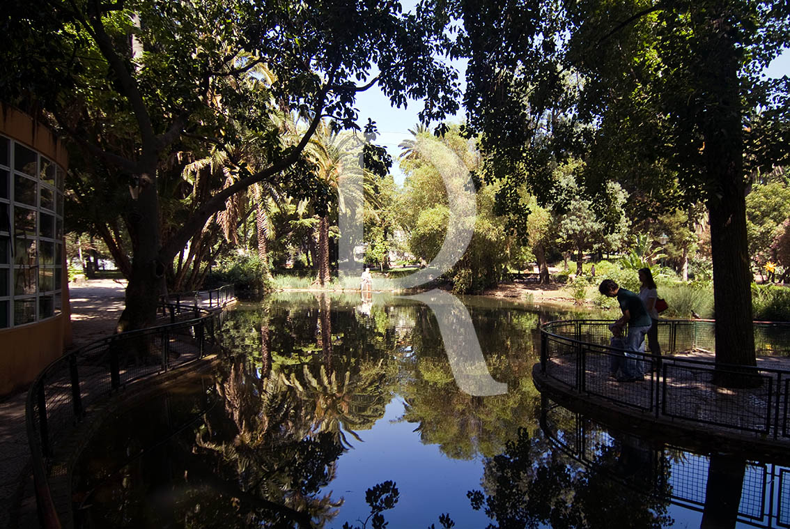Jardim da Estrela