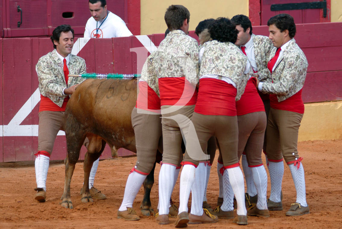 O Grupo de Forcados