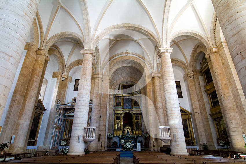 Igreja Matriz de Estremoz (IIP)