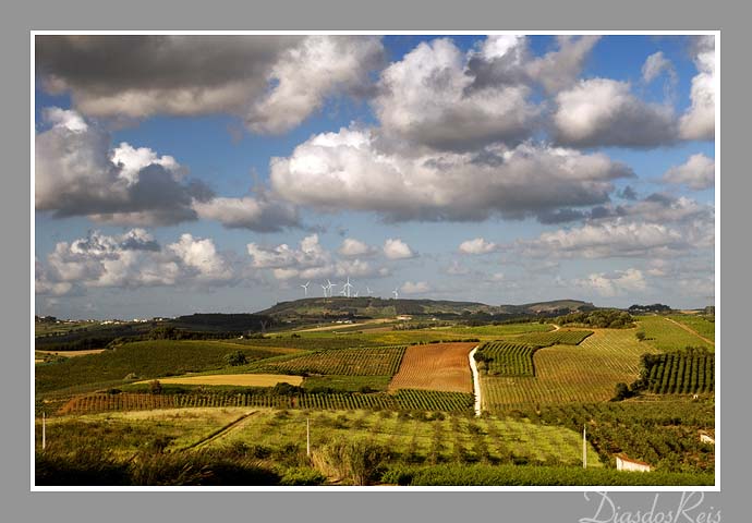 Paisagens da Pinhoa