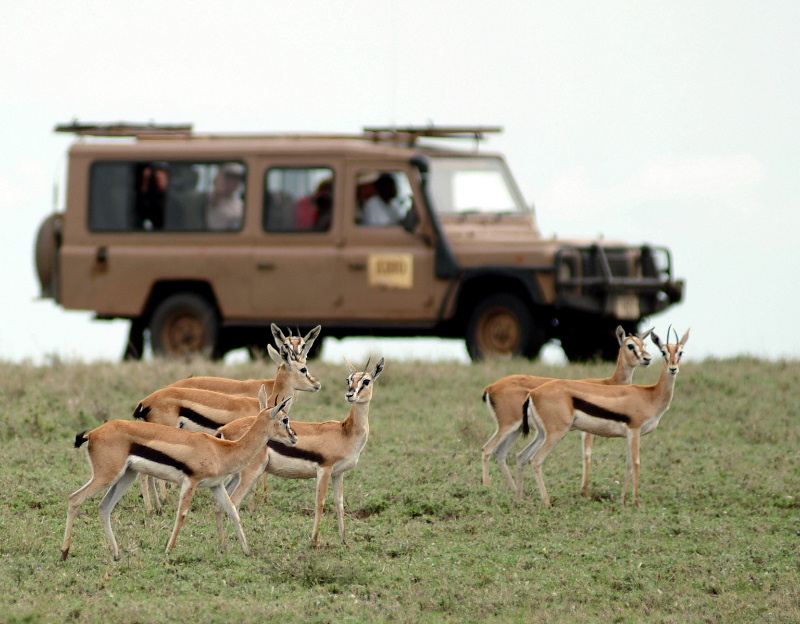 Serengeti National Park