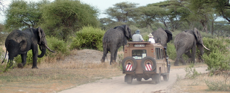 Tarangire National Park