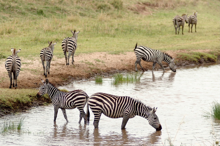Tarangire National Park