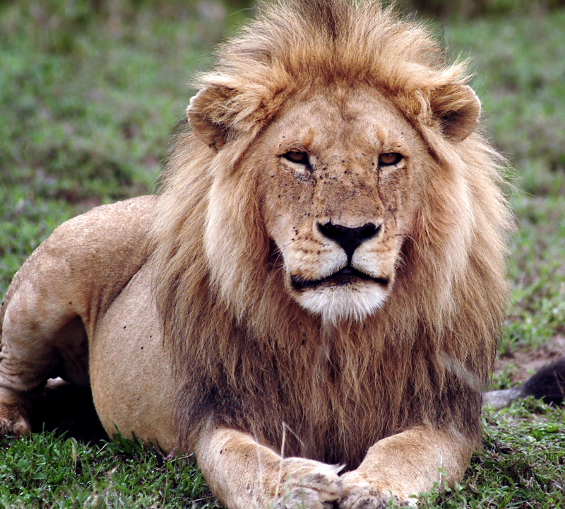 Serengeti National Park