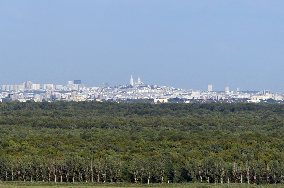 Paris from 20 Km view