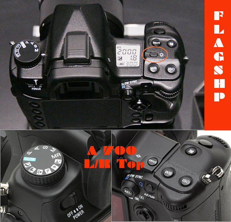 Alpha 900 Versus Alpha 700 Top