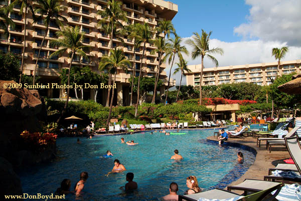 2009 One Of The Pools At Hyatt Regency On Kaanapali Beach 2009 One Of The Pools At Hyatt Regency On Kaanapali Beach
