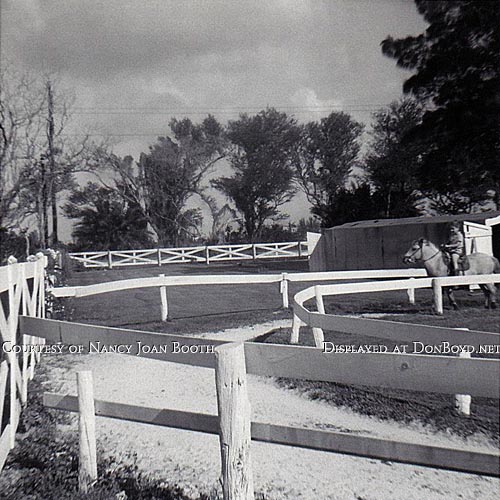 1964 - David Booth riding a pony at Dressels Dairy on Milam Dairy Road west of the airport