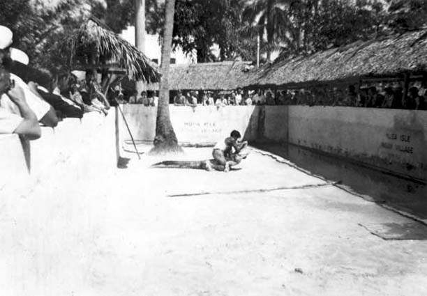 1940s - Gator Wrestling exhibition at the Musa Isle Indian Village